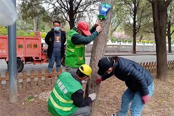 2022年4月河北邯郸公园养护项目