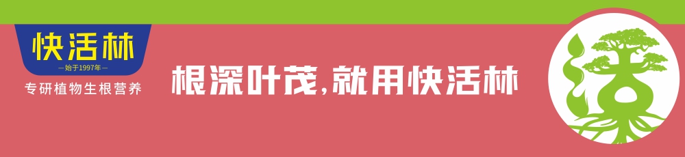 快活林,大大提高栽植成活率，降低养护本钱